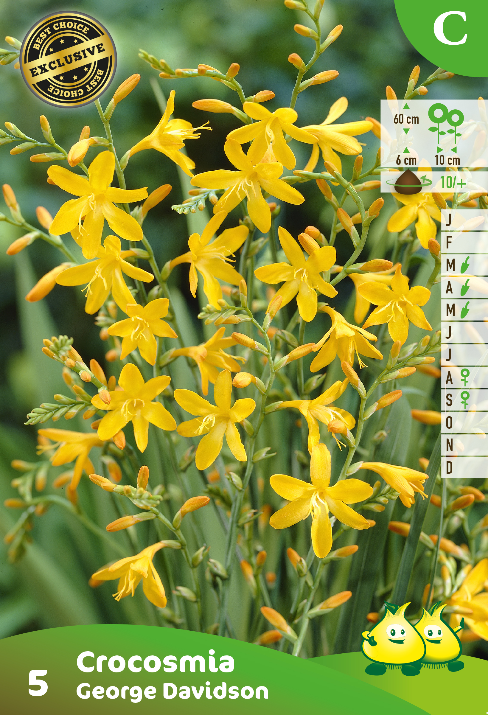 ZAKJES CROCOSMIAS GEORGE DAVISON C