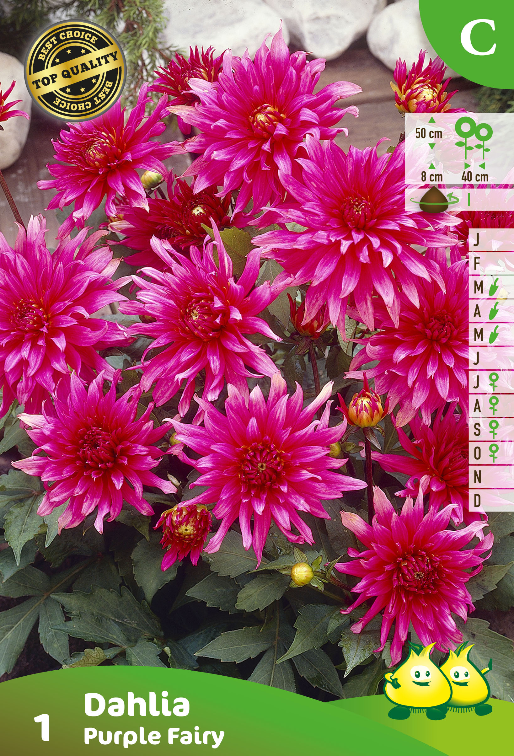 losse DAHLIA DEC. PURPLE FAIRY (50CM)