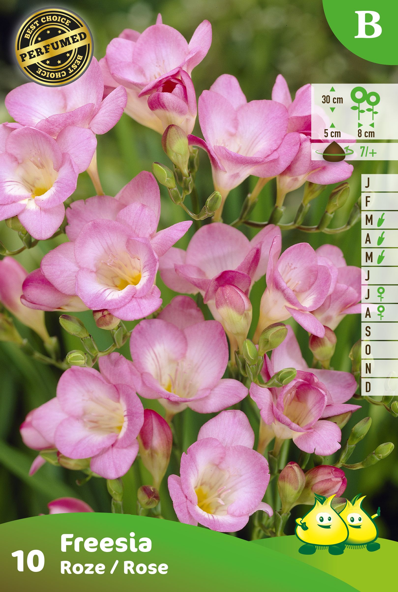 ZAKJES FREESIA ROZE B