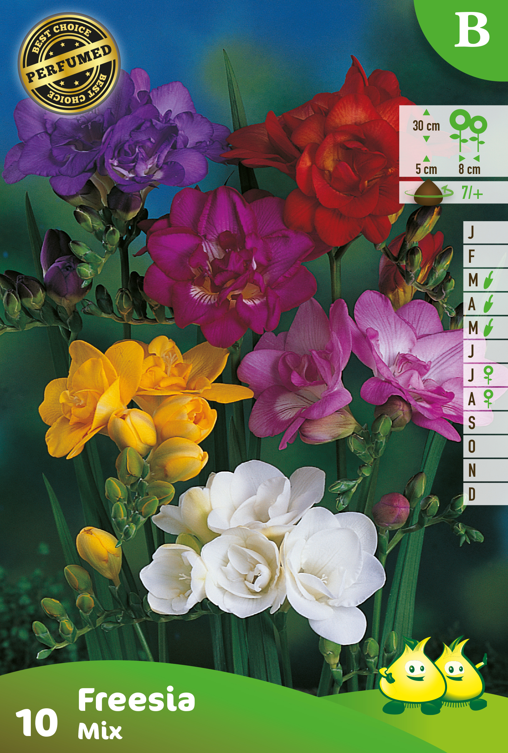 ZAKJES FREESIA DUBBEL MIX  B