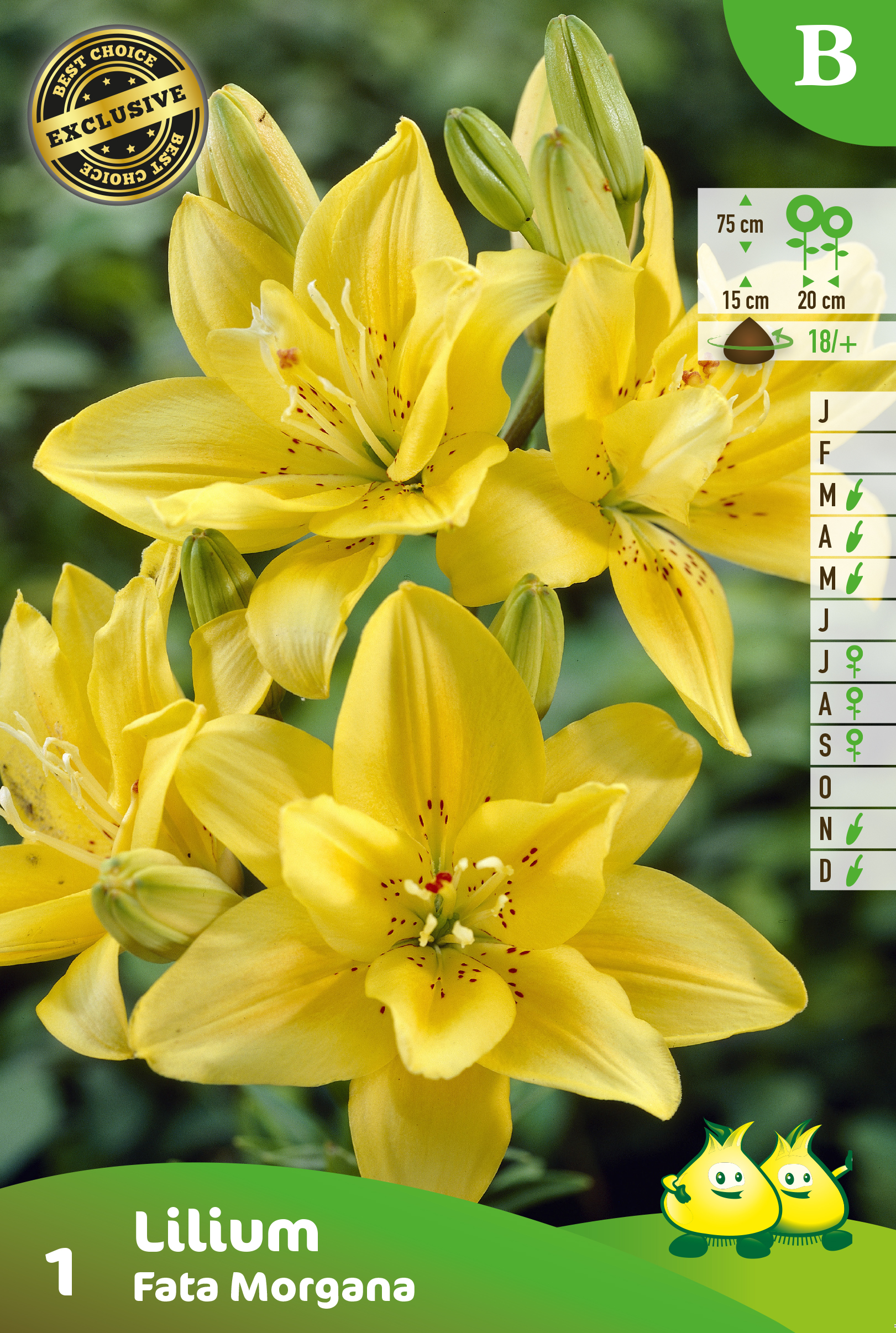 SACHET LIS FATA MORGANA B