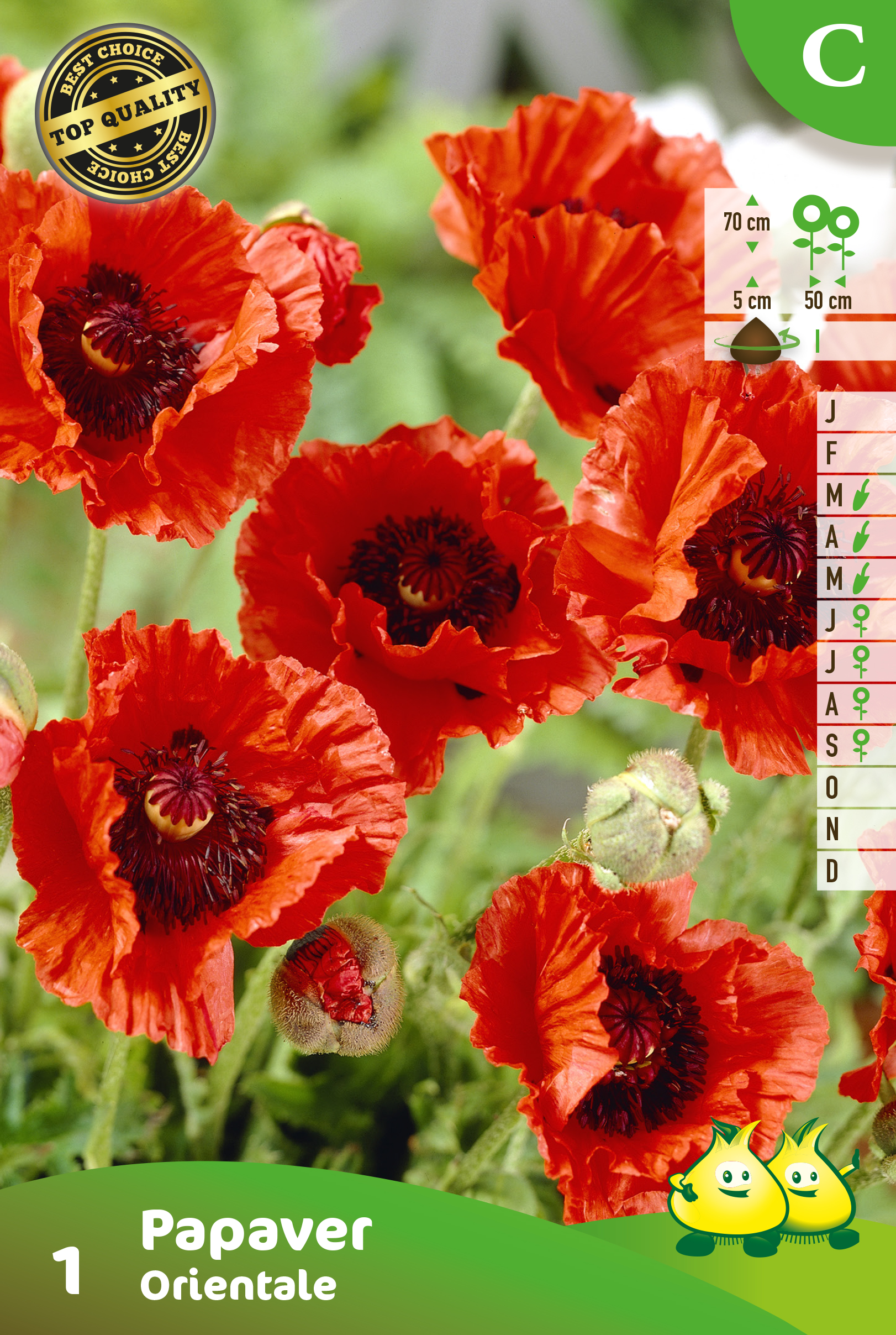 SACHET PAPAVER ORIENTALE 1 C