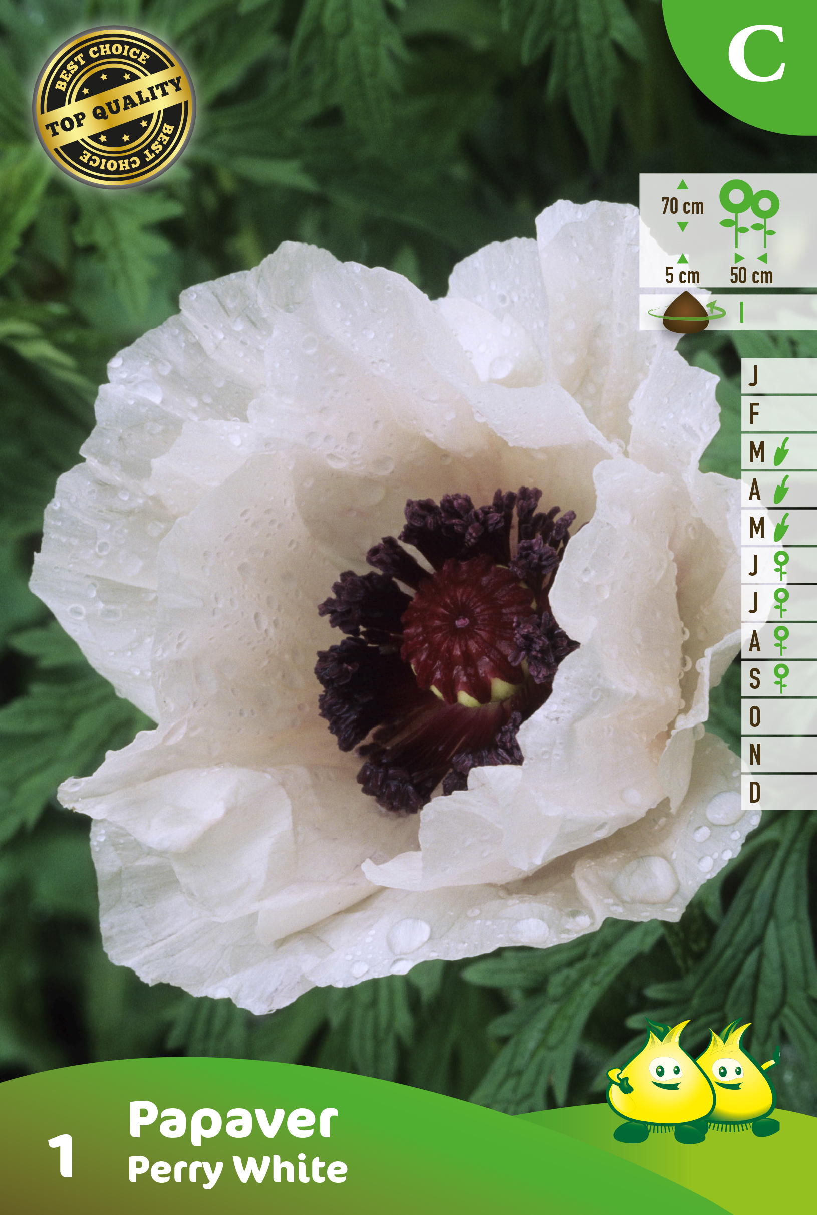 SACHET PAPAVER PERRY WHITE 1 C