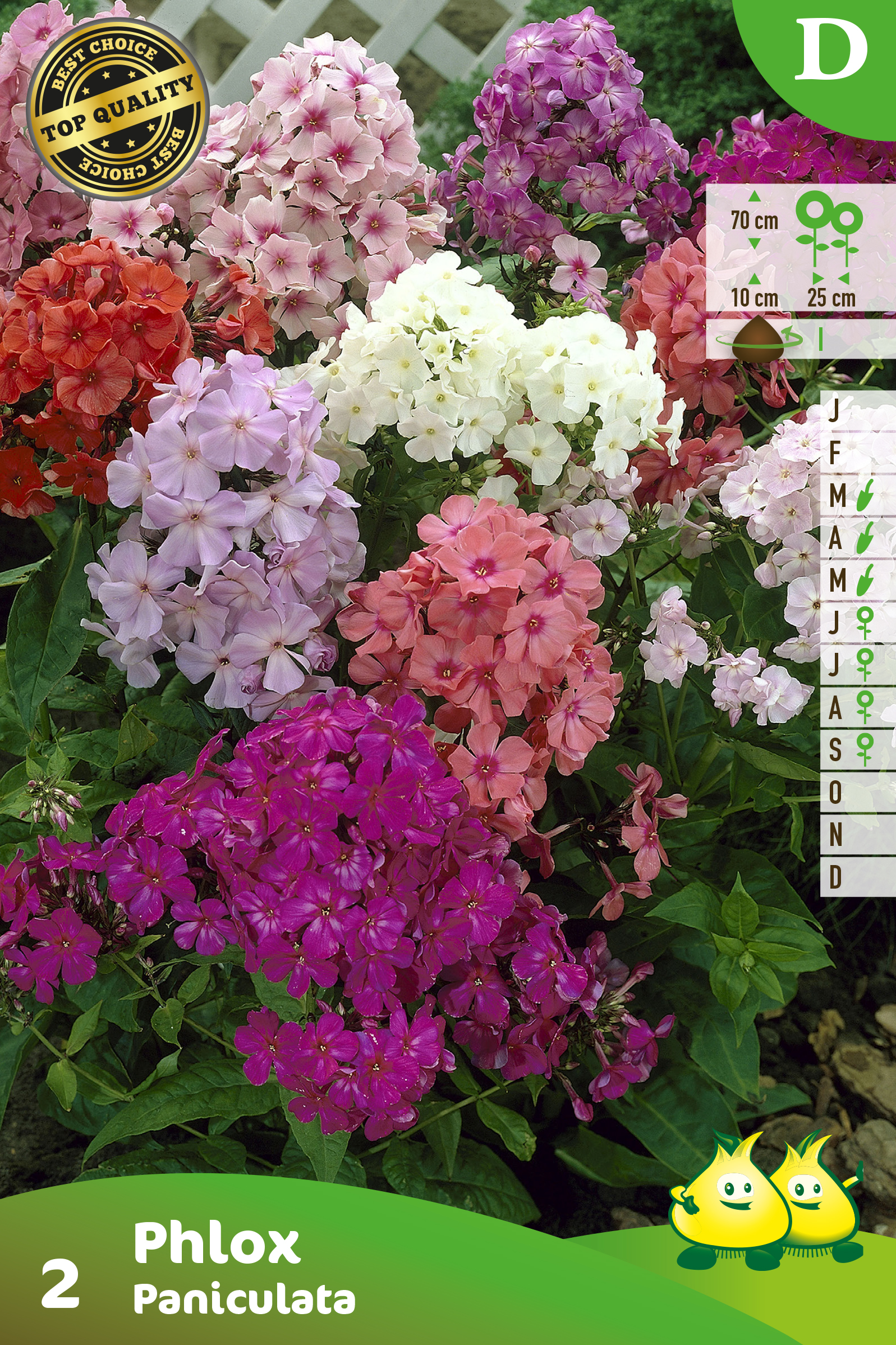 ZAKJES PHLOX PANICULATA MIX 2 D