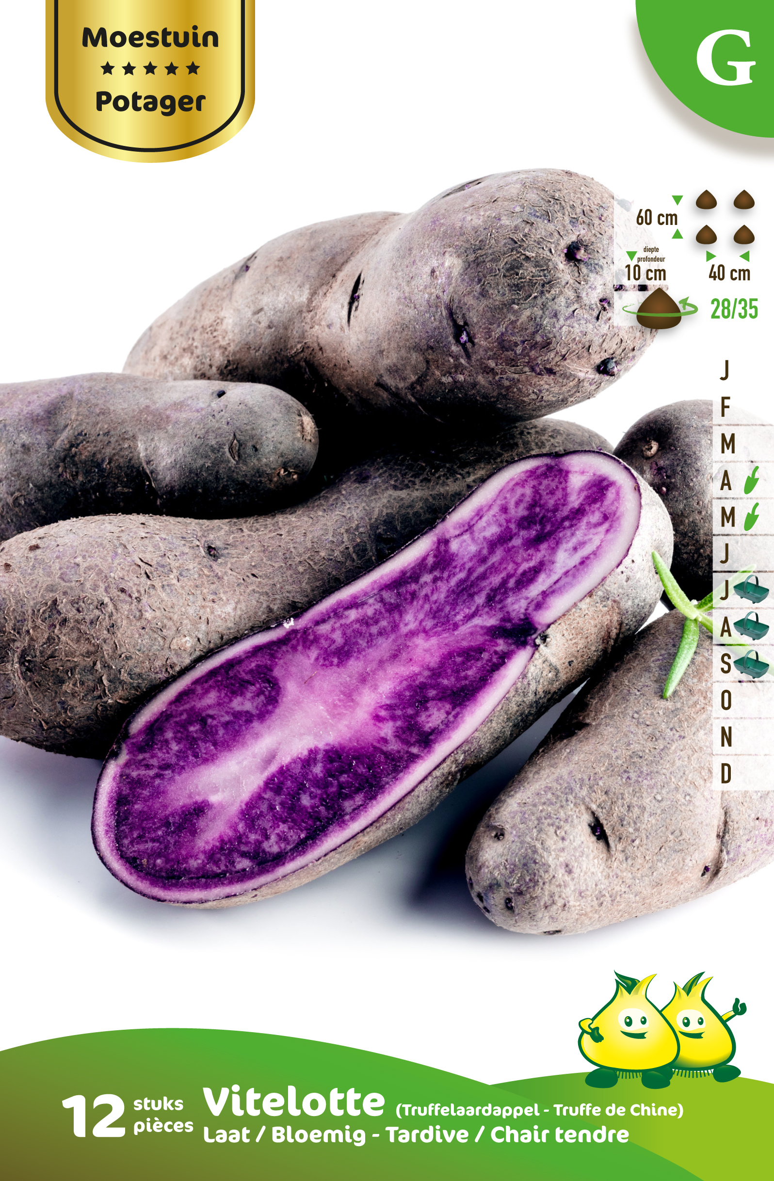 12 aardappelen Vitelotte