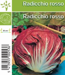 Radicchio rosso per tray (8x6)