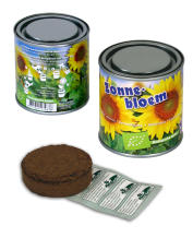 Boeketje in blik Zonnebloem - bio