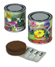 Boeketje in blik Vlinder en bijenmengsel - bio