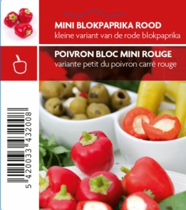 Poivron mini bloc rouge(tray 12 pot)