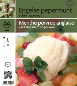 Poivrée anglaise (tray 15 pot)