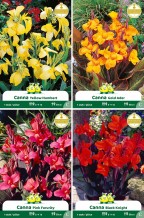 assortiment zakjes Canna