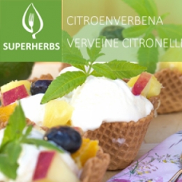 Verveine odorante (tray 6 pot 14)