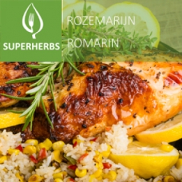 Rozemarijn (tray 6 pot 14)