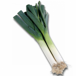images/productimages/small/PREI.png