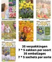images/productimages/small/cami35.jpg