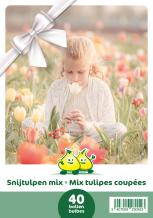 images/productimages/small/casntu-snijtulpen-mix-cadeau.jpg