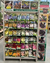 RAYON Lasagne bulbes de fleurs  48*5 sachets
