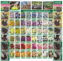 ASSORTIMENT Lasagne bulbes de fleurs  48*5 sachets