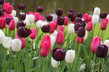 images/productimages/small/m1925-img-1952.jpg