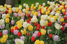 images/productimages/small/m1950-img-2247.jpg