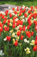 images/productimages/small/m1965-img-2327.jpg