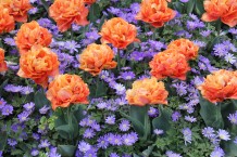images/productimages/small/m1970-img-2348.jpg