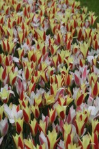 images/productimages/small/m1975-img-2374.jpg