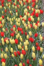 images/productimages/small/m1980-img-2388.jpg