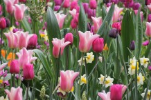 images/productimages/small/m2025-img-2533.jpg