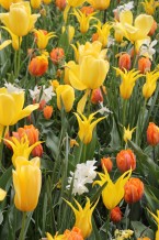 images/productimages/small/m2030-img-2545.jpg