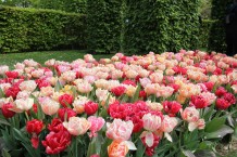 images/productimages/small/m2110-img-2877.jpg