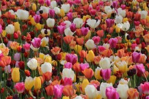 images/productimages/small/m2120-img-2943.jpg