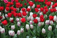 images/productimages/small/m2130-img-3002.jpg