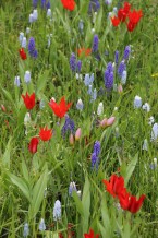 images/productimages/small/m2150-img-4167.jpg