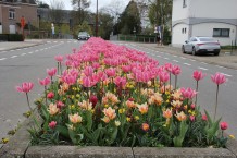 images/productimages/small/m2155-img-4180.jpg