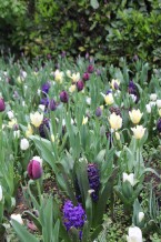 images/productimages/small/m2170-img-4277.jpg