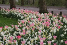 images/productimages/small/m2175-img-4338.jpg