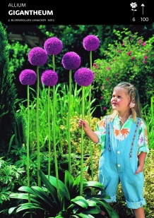 images/productimages/small/n012a5.jpg