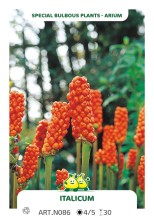 images/productimages/small/n086.jpg