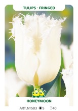 images/productimages/small/n1583.jpg