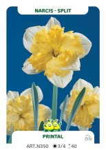 Narcis Printal