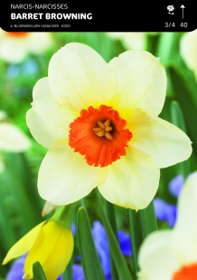 images/productimages/small/n355a5.jpg