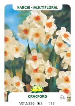Narcis Cragford