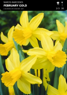 images/productimages/small/n413a5.jpg
