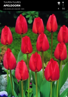 images/productimages/small/n505a5.jpg