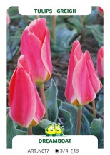 images/productimages/small/n617.jpg