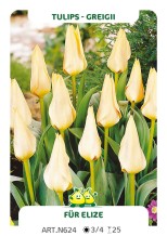 Tulp Für Elize