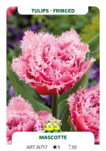 images/productimages/small/n717.jpg