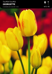 images/productimages/small/n720a5.jpg