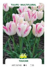 Tulp Toucan